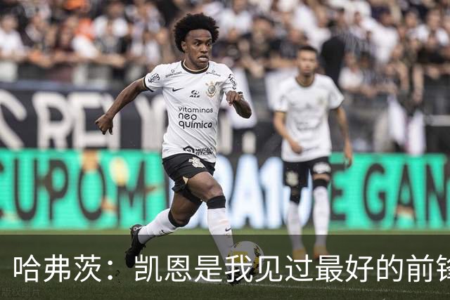 哈弗茨：凯恩是我见过最好的前锋之一；谁进球并不重要